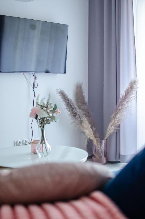 TV a/nebo společenská místnost v ubytování Apartament KARMEL