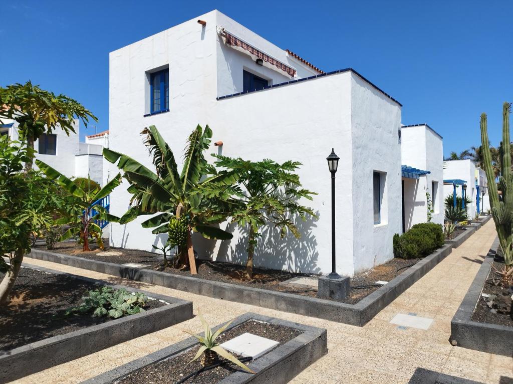 un edificio blanco con árboles delante de él en Charmant Appartement Casa Freesia Caleta avec piscine, en Caleta de Fuste