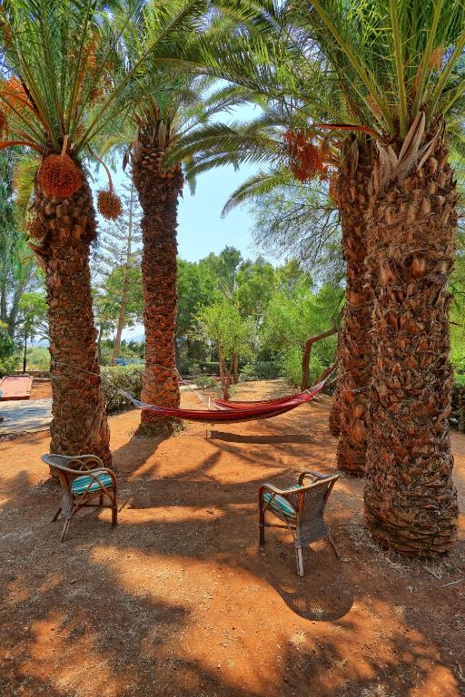 Zahrada ubytování Apollonia Beach Resort & Spa