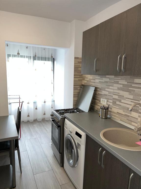 a kitchen with a washing machine and a sink at Studio Andrei Râmnicul Vâlcea in Râmnicu Vâlcea