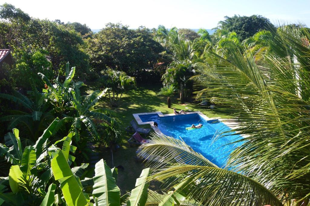 vista sul tetto di una piscina con palme di Chill Mango a Paracuru