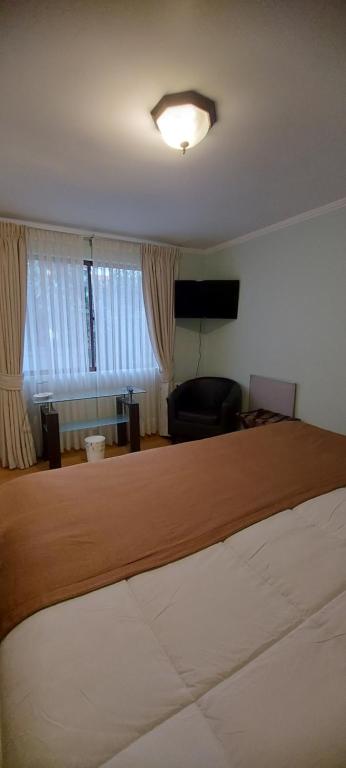 TV a/nebo společenská místnost v ubytování Hotel Chagual