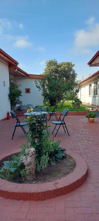 Zahrada ubytování Hotel Chagual