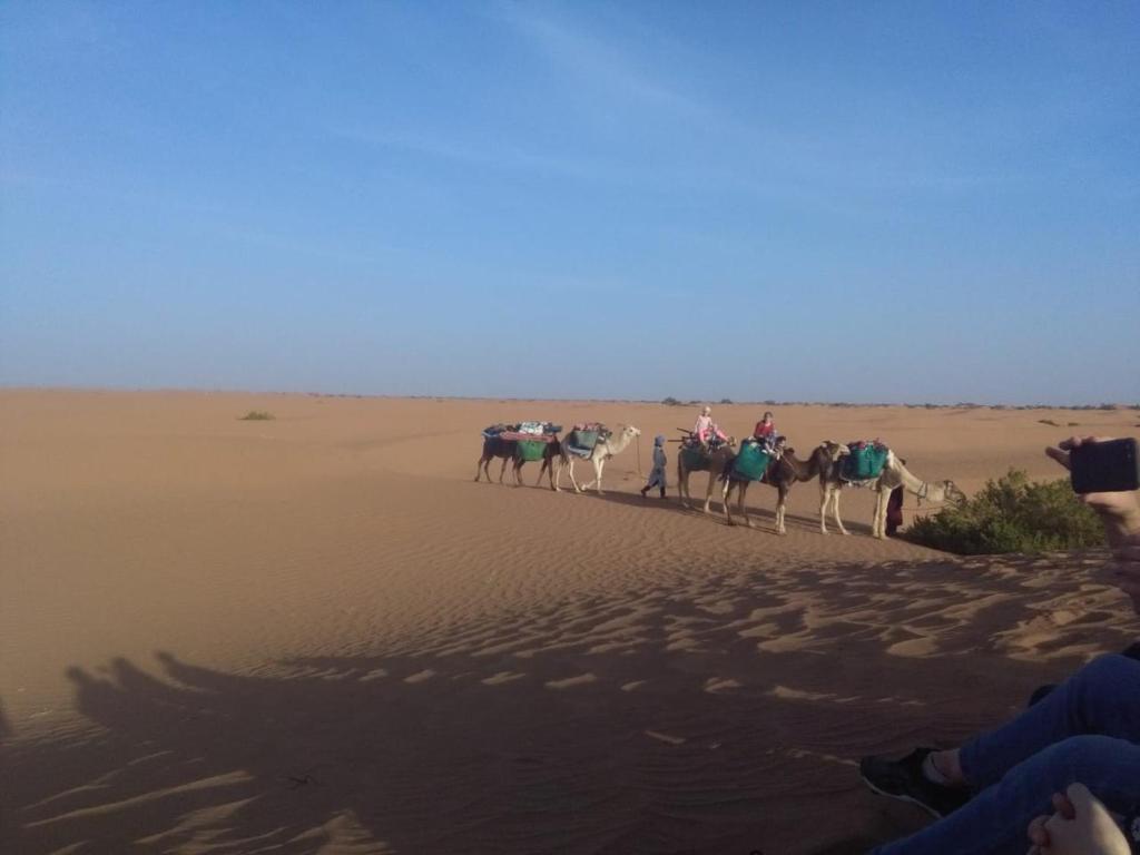 un grupo de gente montando caballos en el desierto en Kasbah Les Nomades, en Skoura