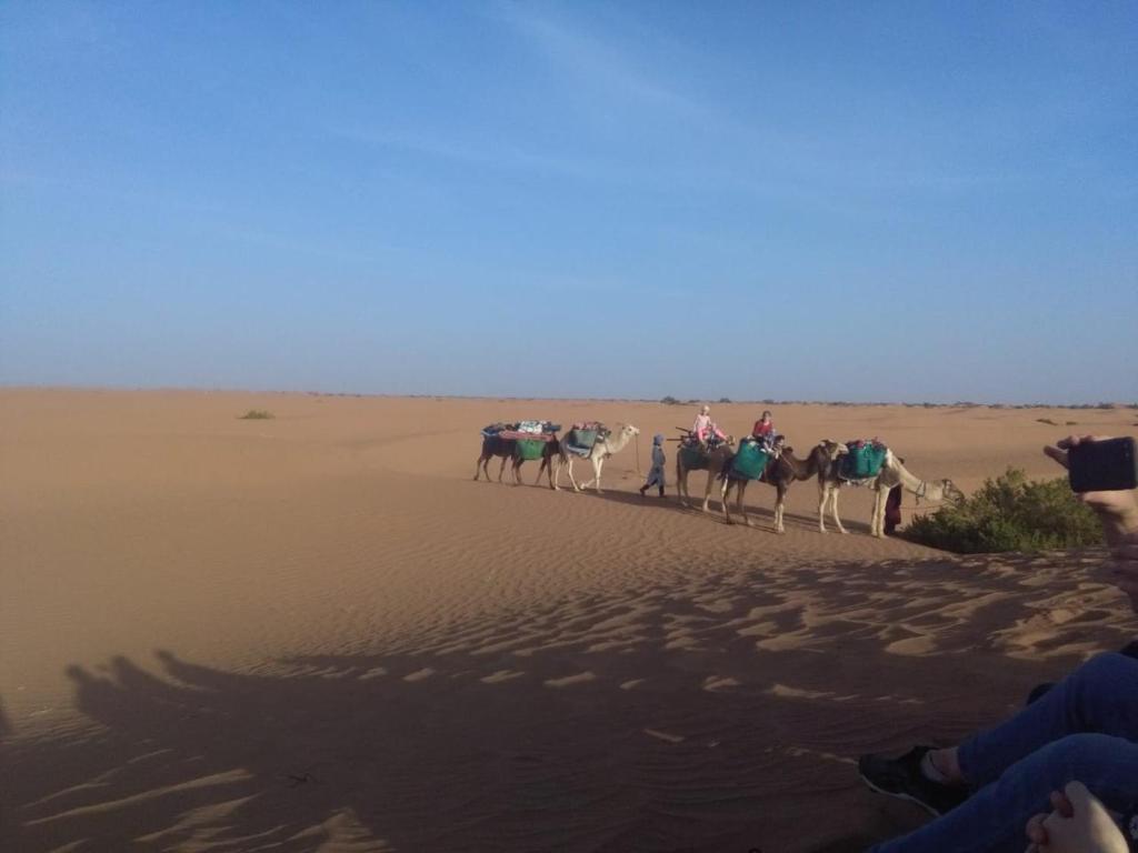 Kasbah Les Nomades