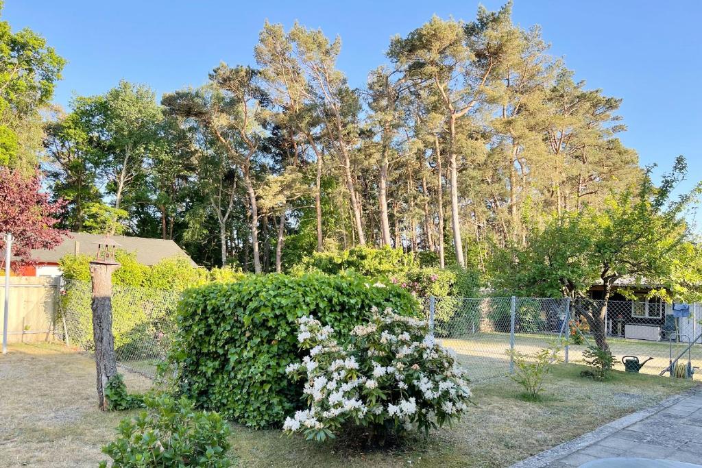 Zahrada ubytování Bungalow Bergstrasse 3 Ferienwohnung 1
