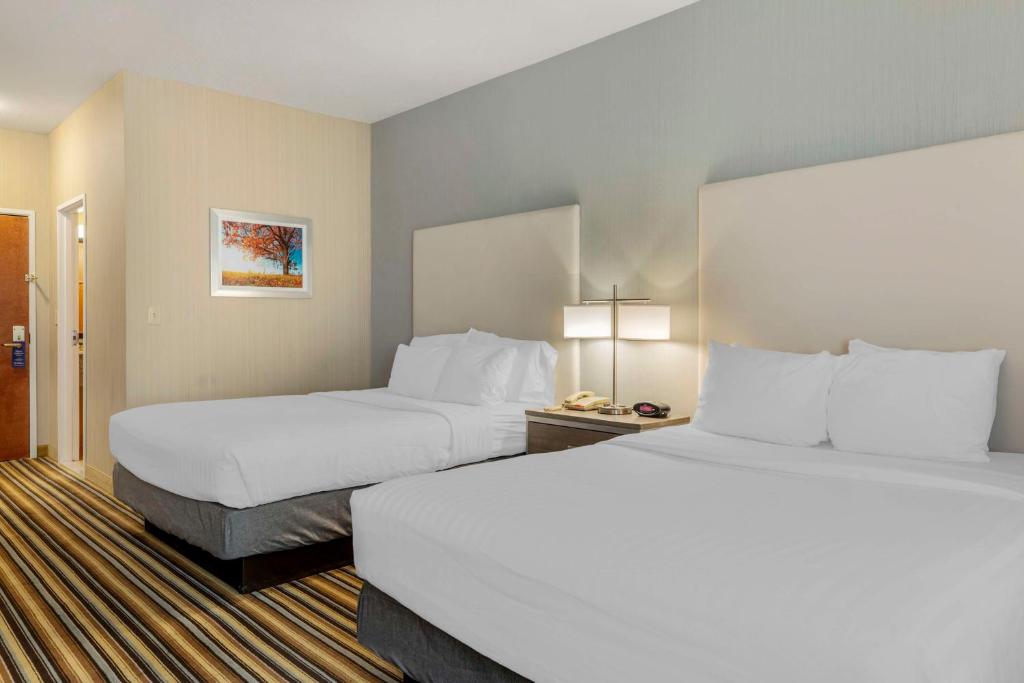 Best Western Plus New England Inn & Suites photo