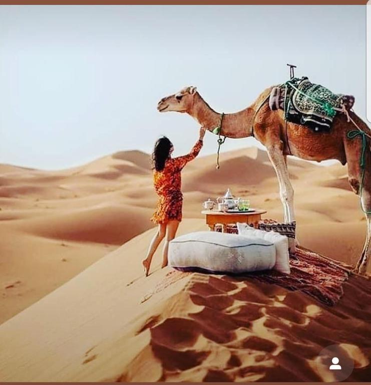 Sahara Family camp، مرزوقة – أحدث أسعار 2024