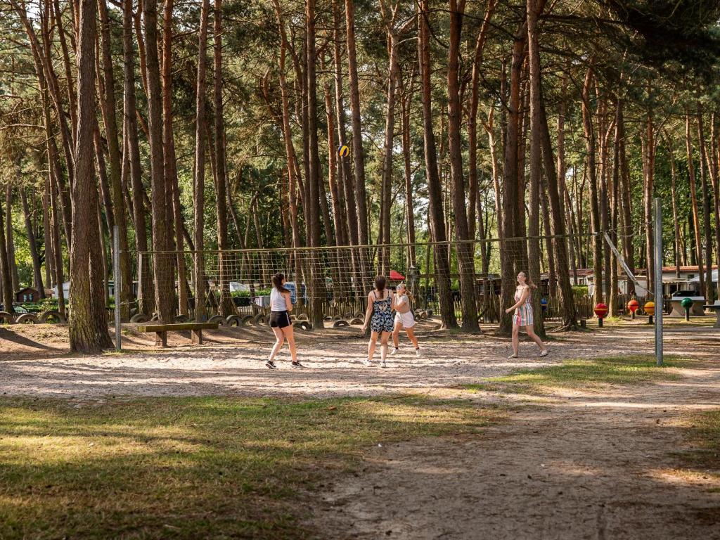 a group of people playing frisbee in a park at De Goolder in Bocholt