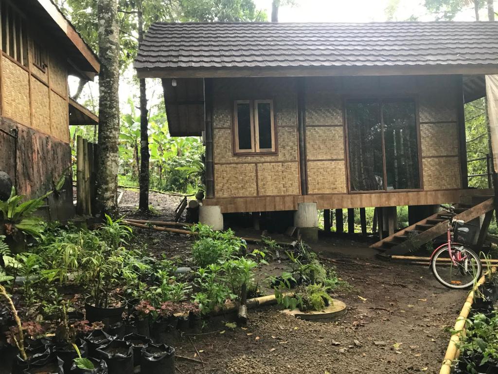 Zahrada ubytování Joben Ecolodge