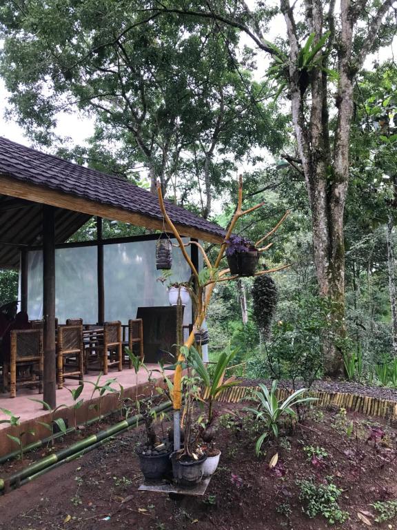 Zahrada ubytování Joben Ecolodge