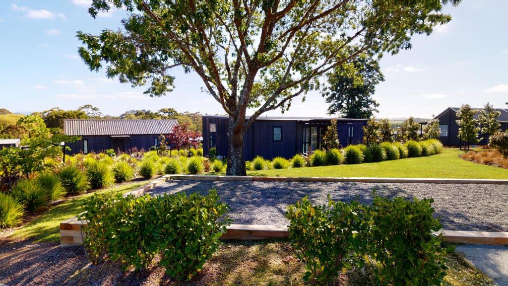 a garden with a tree and a bench at Plume Villas in Matakana