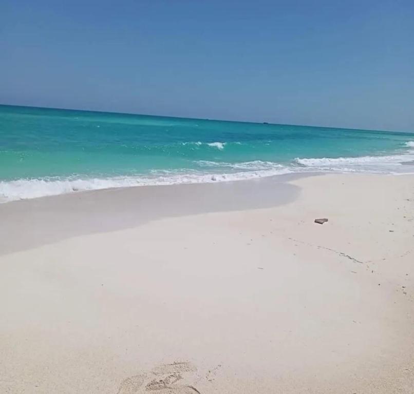 une plage avec des empreintes sur le sable et l'océan dans l'établissement شقة بشارع حزيمة, à Damanhûr