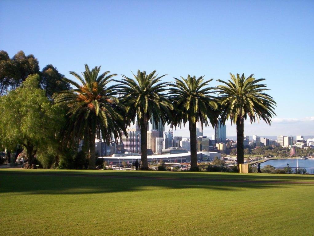 un parco con palme e una città sullo sfondo di Shiralee Hostel -note - Valid passport required to check in a Perth
