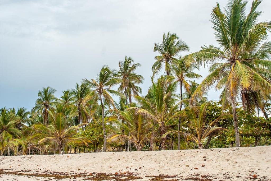 Harmony Beachfront, Kwale – Updated 2023 Prices