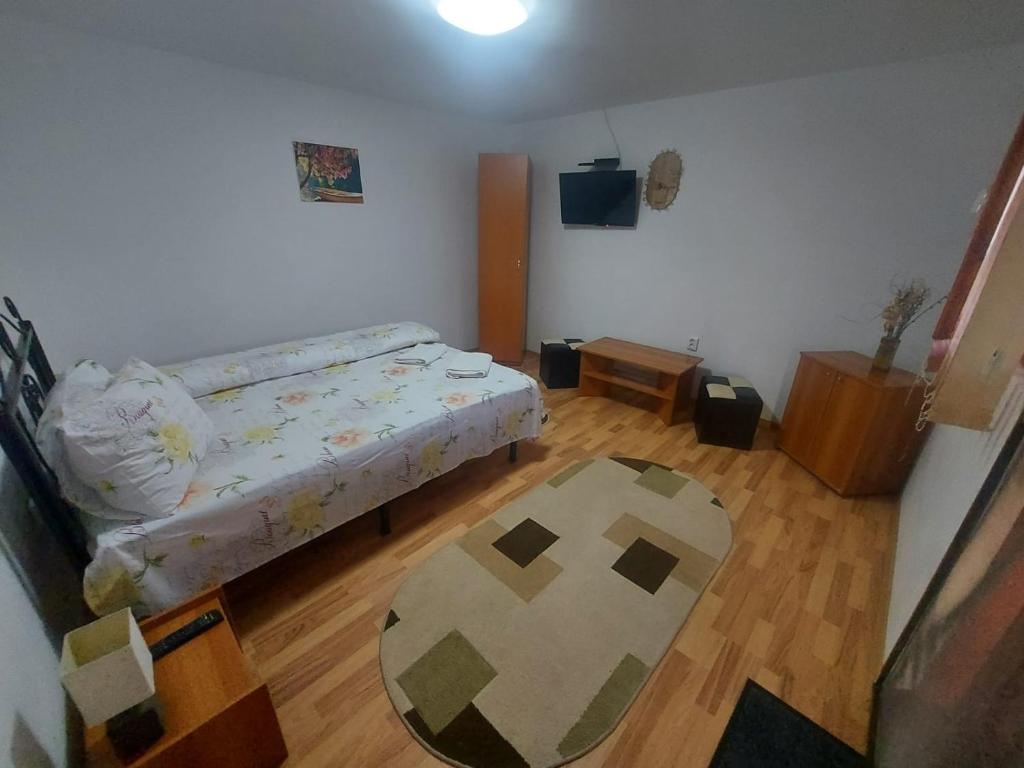 Postel nebo postele na pokoji v ubytování Pensiunea Raluca