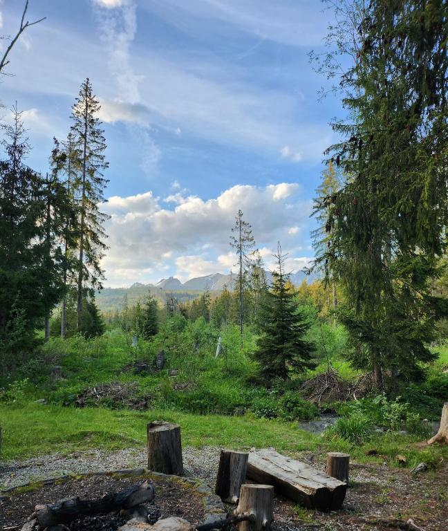 Příroda nedaleko apartmánu