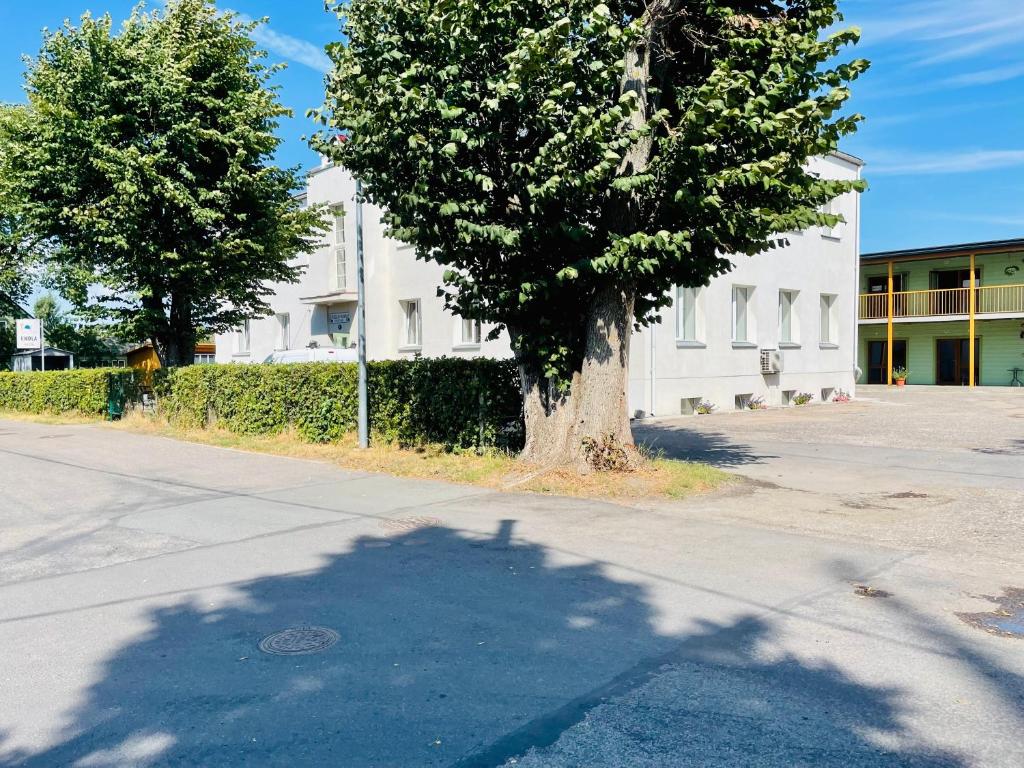 un árbol al lado de una calle al lado de un edificio en Endla Hostel ja Apartamendid en Haapsalu