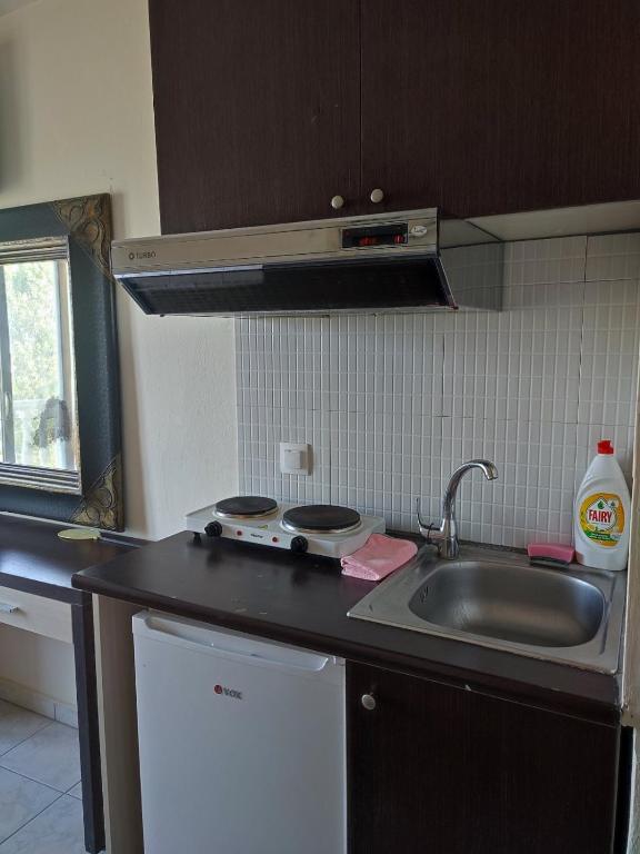 Kuchyň nebo kuchyňský kout v ubytování VILLA ARHONTISA