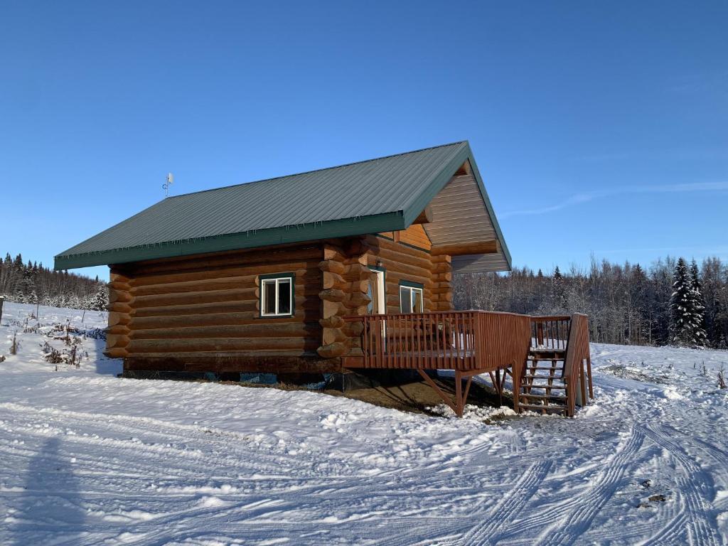 uma cabana de madeira com um telhado verde na neve em The Chena Valley Cabin, perfect for aurora viewing em Pleasant Valley