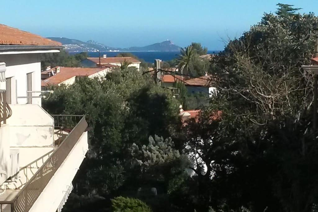 - une vue depuis le toit d'une maison arborée dans l'établissement T1 rez de jardin avec grande terrasse – St Aygulf, à Fréjus