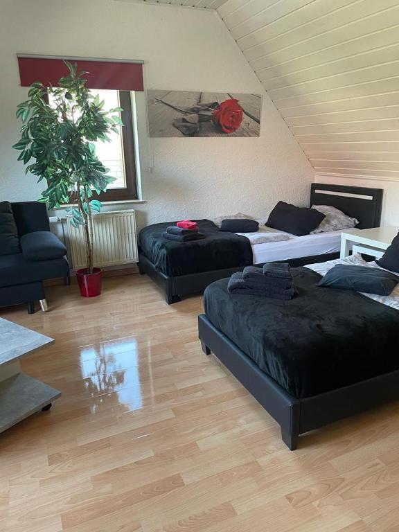 Ferienwohnungen Calwer Höfle - Appartement Met Uitzicht Op De Tuin