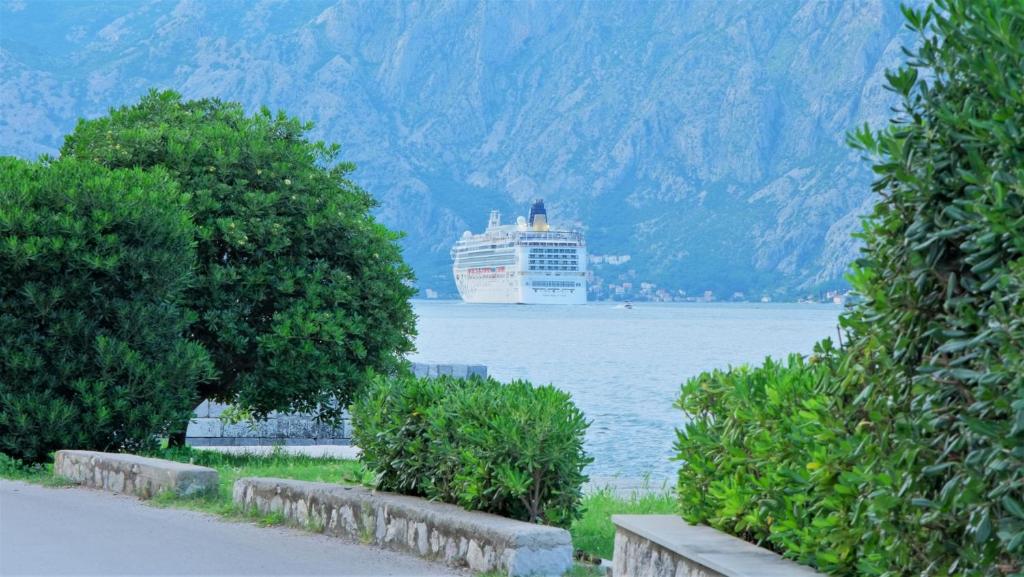 a cruise ship on the water with mountains at Nature View Cozy Flat 1 min to Sea in Kotor in Tivat