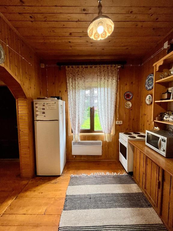 Kuchyň nebo kuchyňský kout v ubytování House Girska Rika