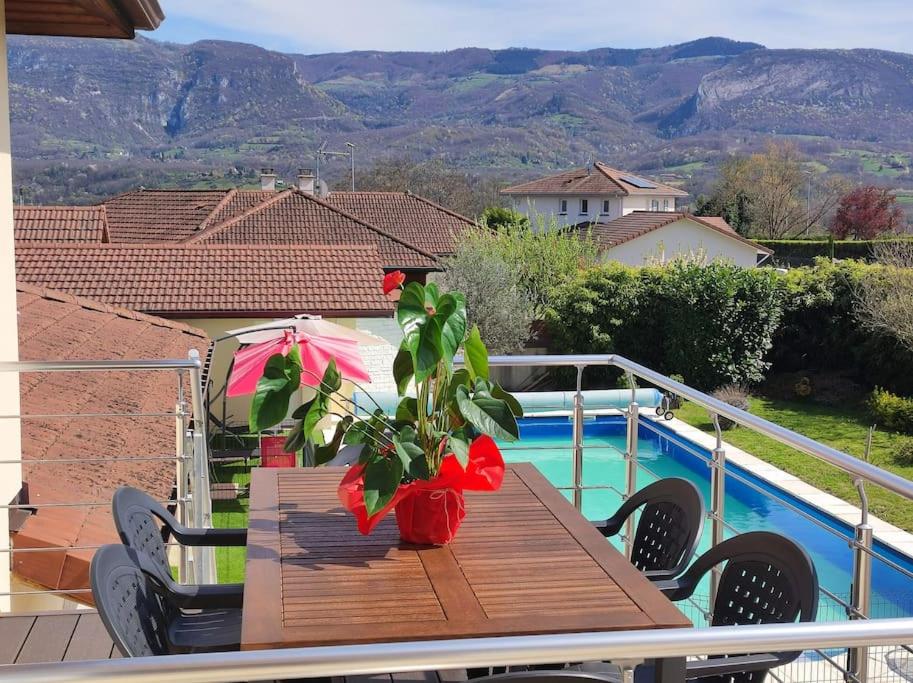 einem Holztisch mit einer Pflanze und einem Regenschirm in der Unterkunft Appartement terrasse du Vercors piscine et spa in Saint-Marcellin