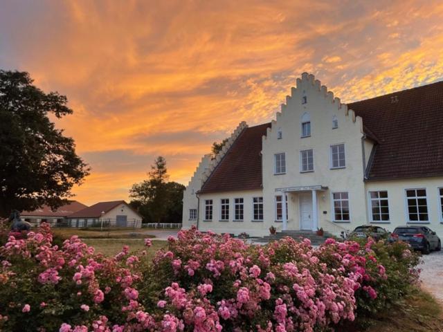 ein weißes Haus mit rosa Blumen davor in der Unterkunft Hotel-Garni Gut Tribbevitz in Neuenkirchen auf Rügen