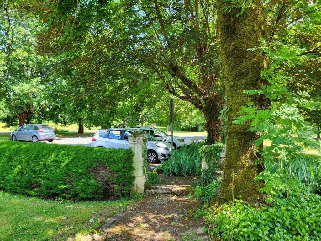 two cars parked in a parking lot under trees at Hôtel La Flambée in Bergerac