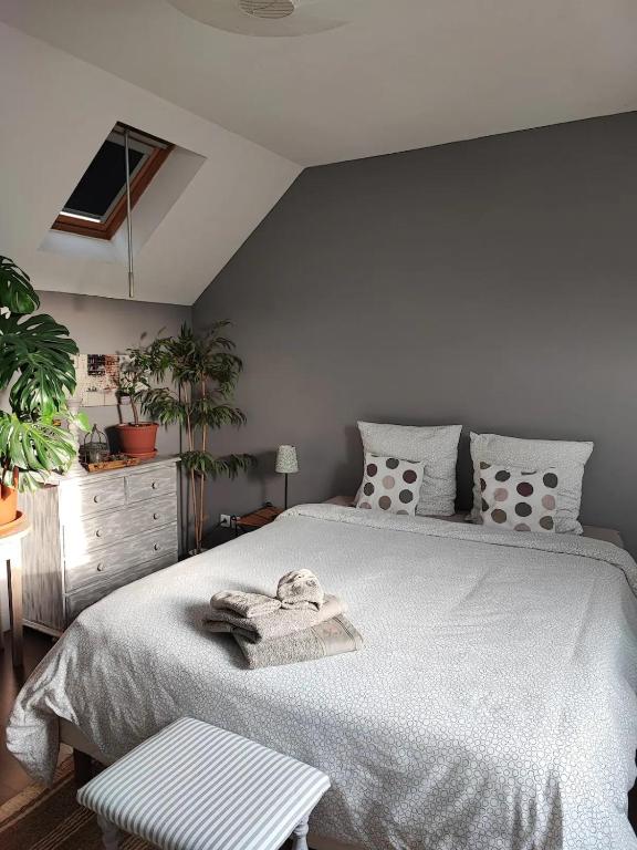 Photo de la galerie de l'établissement Chambre chez Jan-Nicolas et Sylvie, au Mans