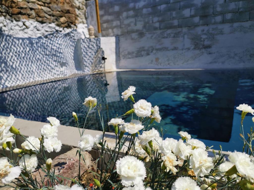 un ramo de flores blancas junto a una piscina en Mas de Gaussel en Cabrières