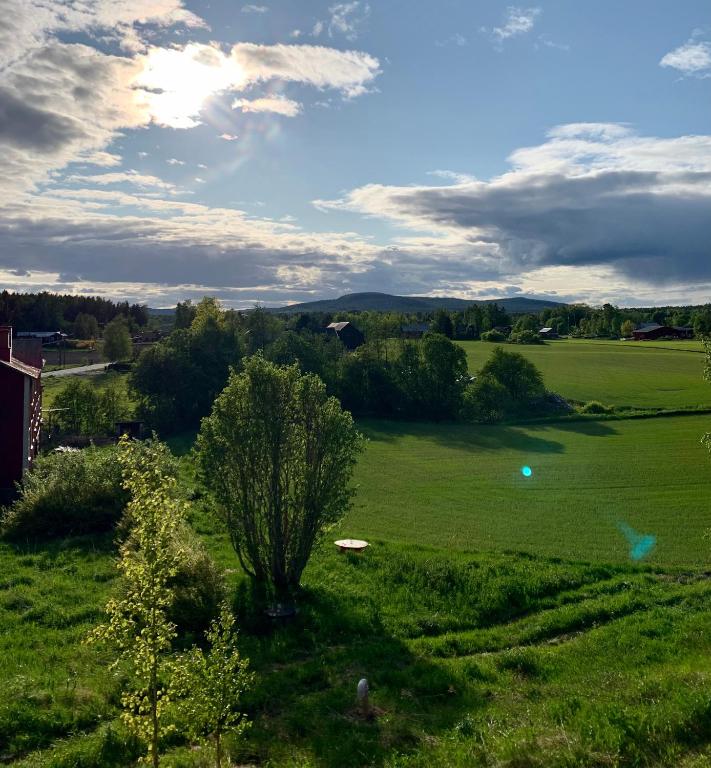 Příroda nedaleko apartmánu