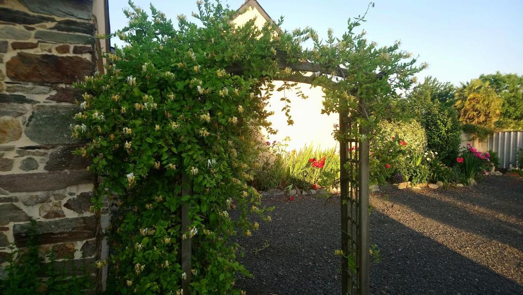 Vonkajšia záhrada v ubytovaní Gîte Des Huttes