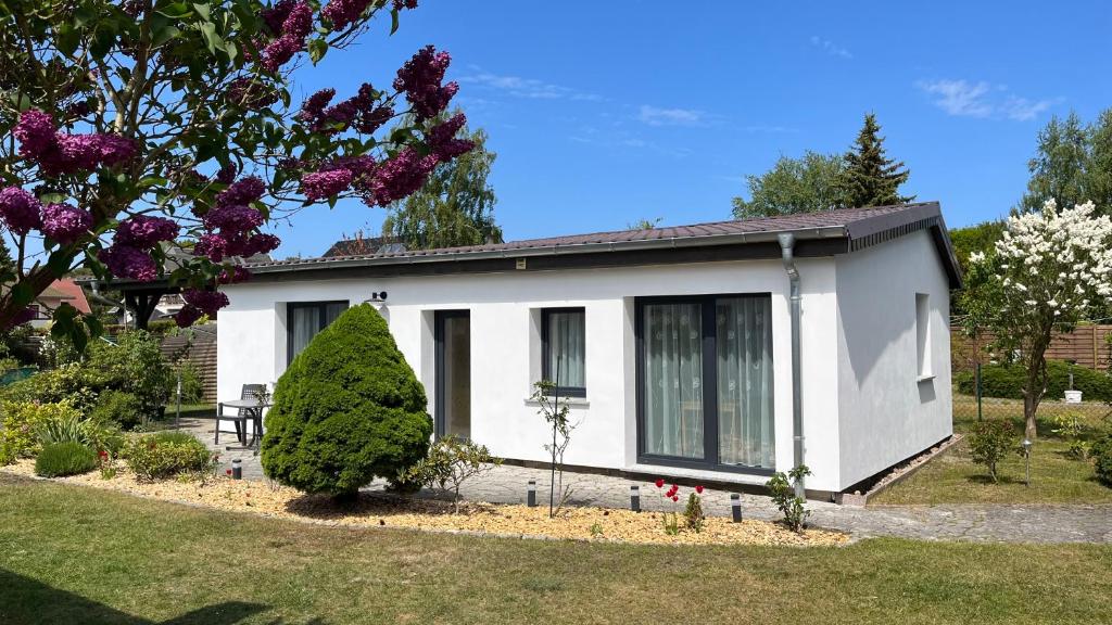 Ferienhaus Elke في زينوويتز: منزل أبيض في حديقة بها زهور أرجوانية