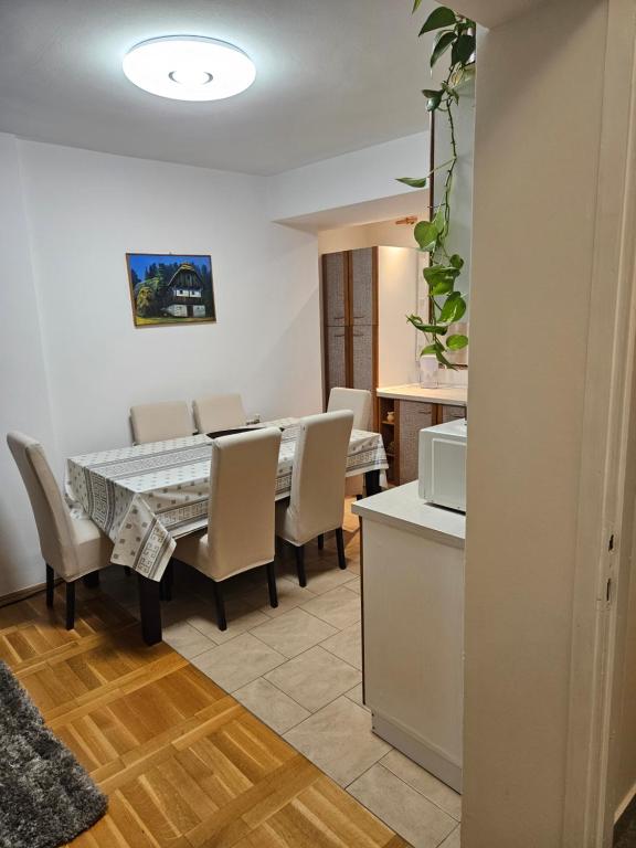 Apartman Cresnar - 5
