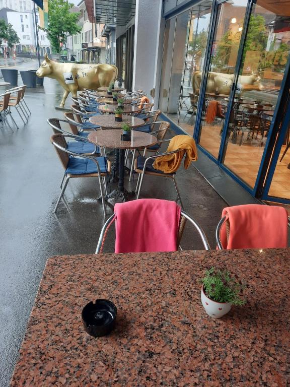 Posezení v ubytování Zak Neuhausen