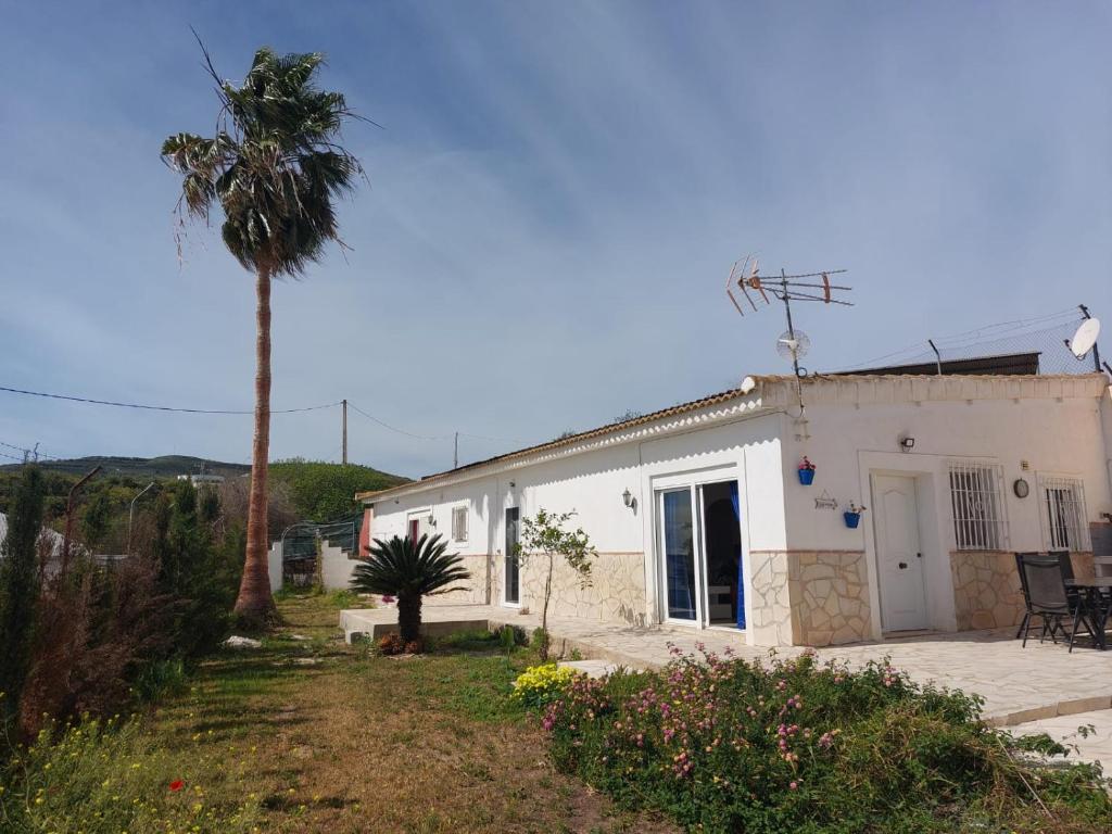 uma casa branca com uma palmeira em frente em La Rana Azul em Vélez-Málaga