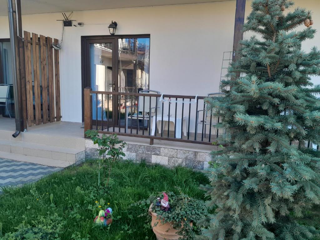 Zahrada ubytování CASA SMARALD