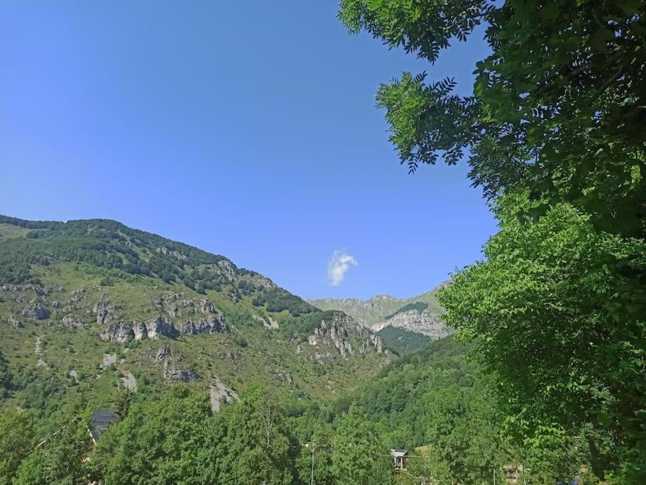 Příroda nedaleko apartmánu