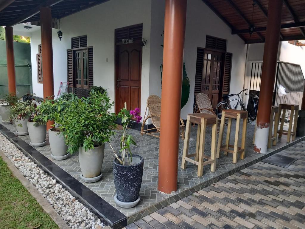 Zahrada ubytování Serendip Villa Holiday HomeTalalla Sri Lanka