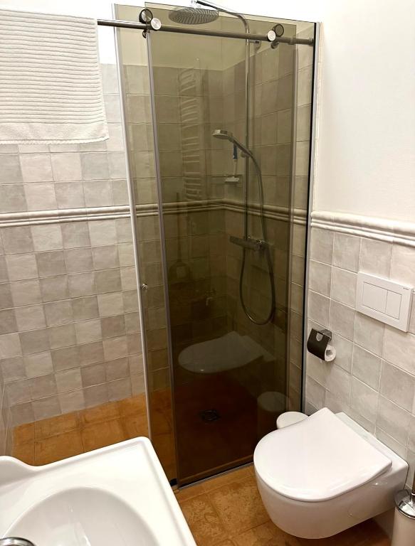 a bathroom with a shower and a toilet and a sink at Rugio namai-Rye house in Palanga