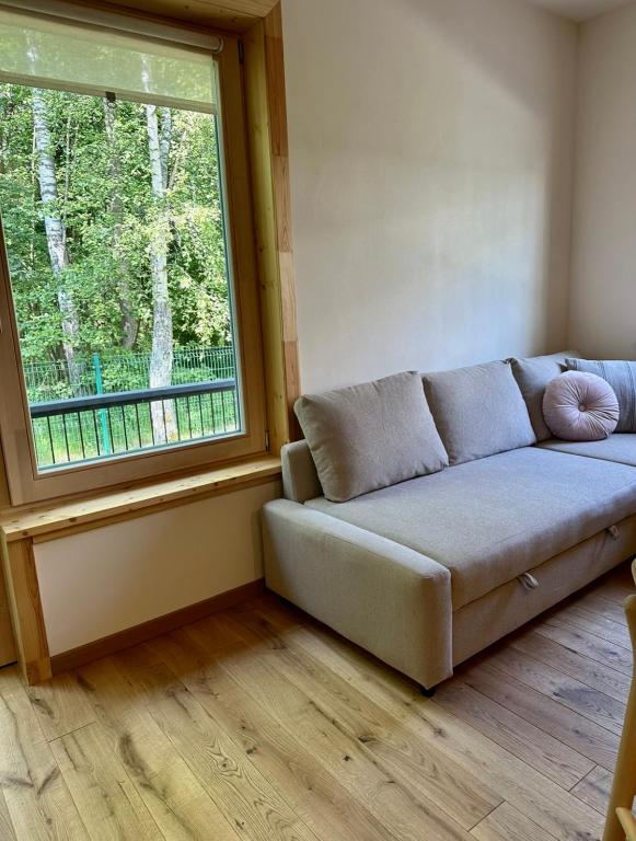 a couch sitting in a room with a window at Rugio namai-Rye house in Palanga