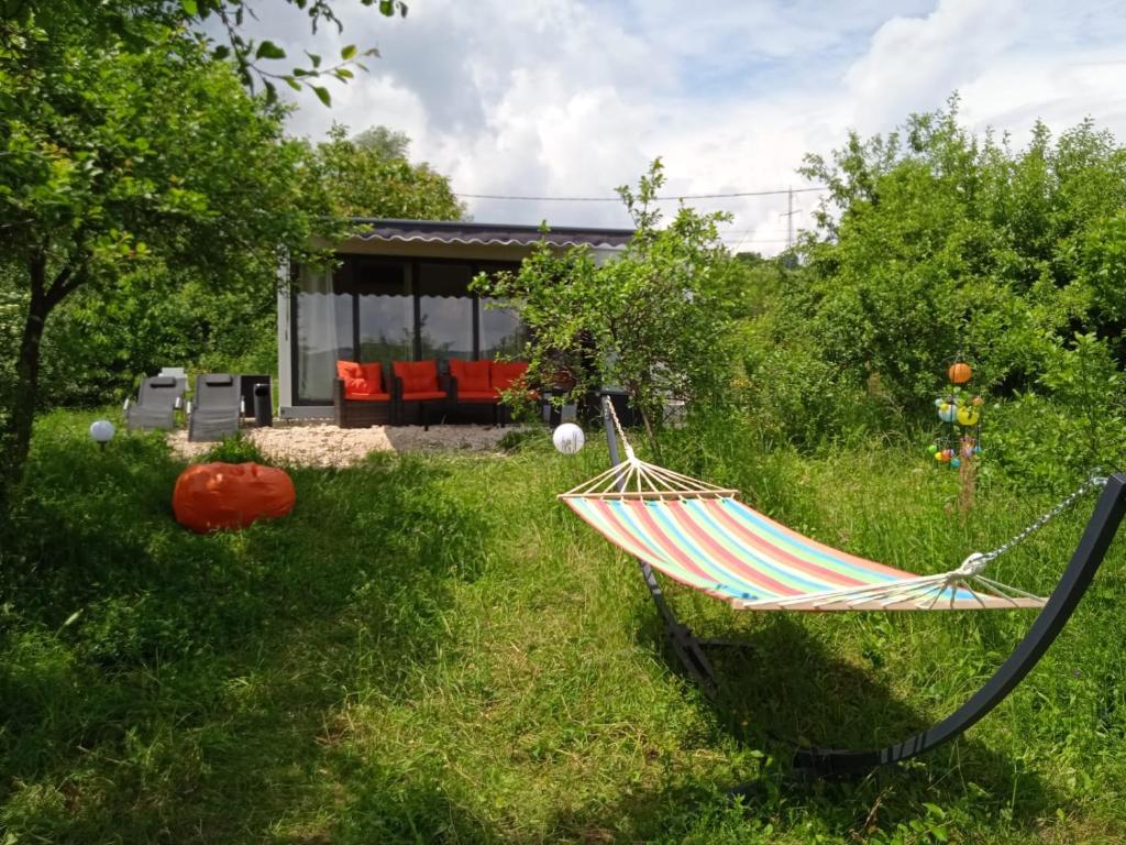 Taman di luar Glamping pe Drum Transfagarasan srl