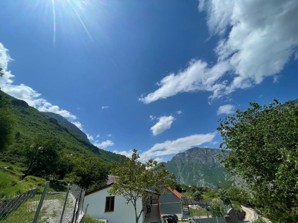 Turi-Selcë - Image 8