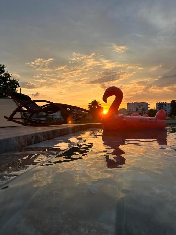 a swimming pool with an inflatablevisor in front of a sunset at Ilio Boutique Hotel in Ksamil