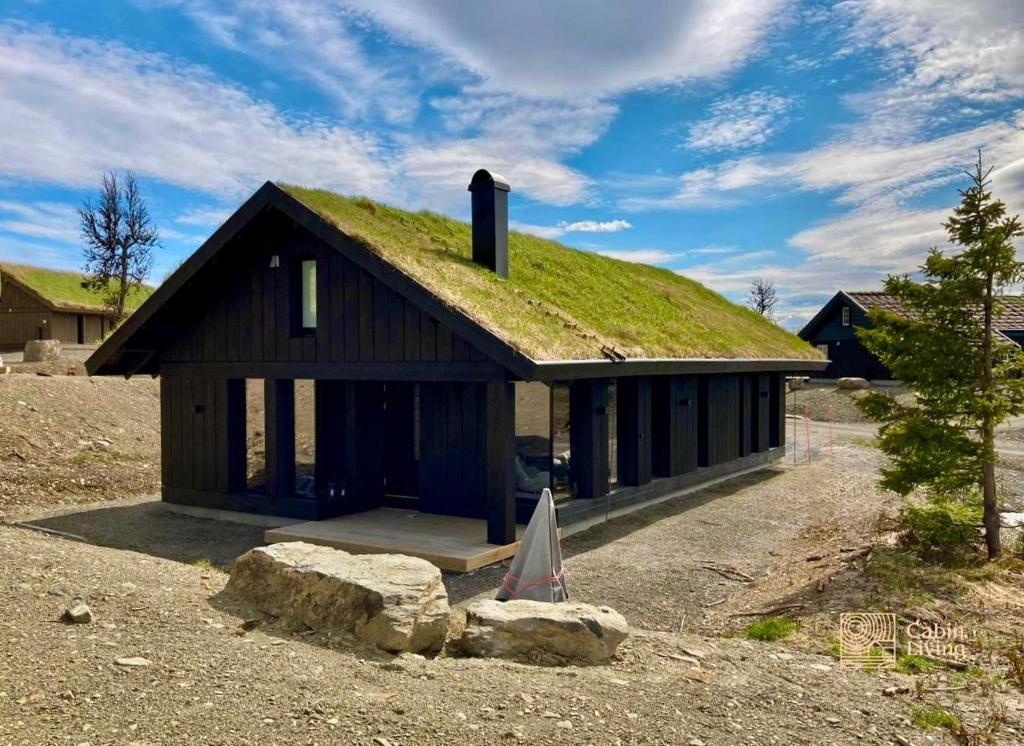 una casa con un techo de hierba con una roca en Brand new cabin at Moseteråsen Hafjell Ski inout en Øyer