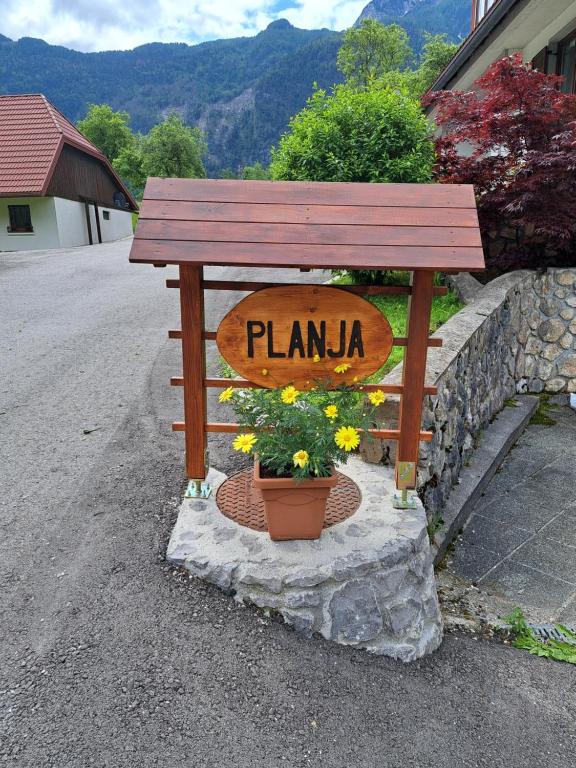 Příroda nedaleko apartmánu