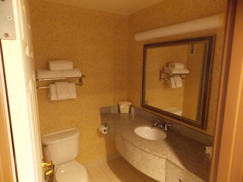 Koupelna v ubytování Holiday Inn Express Syracuse-Fairgrounds by IHG